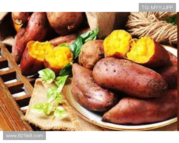 全面解析白菜网大全：最全优惠信息与使用指南